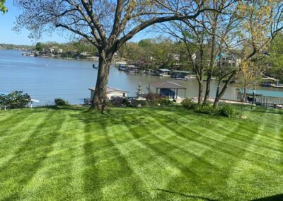 LAWN MAINTENANC services